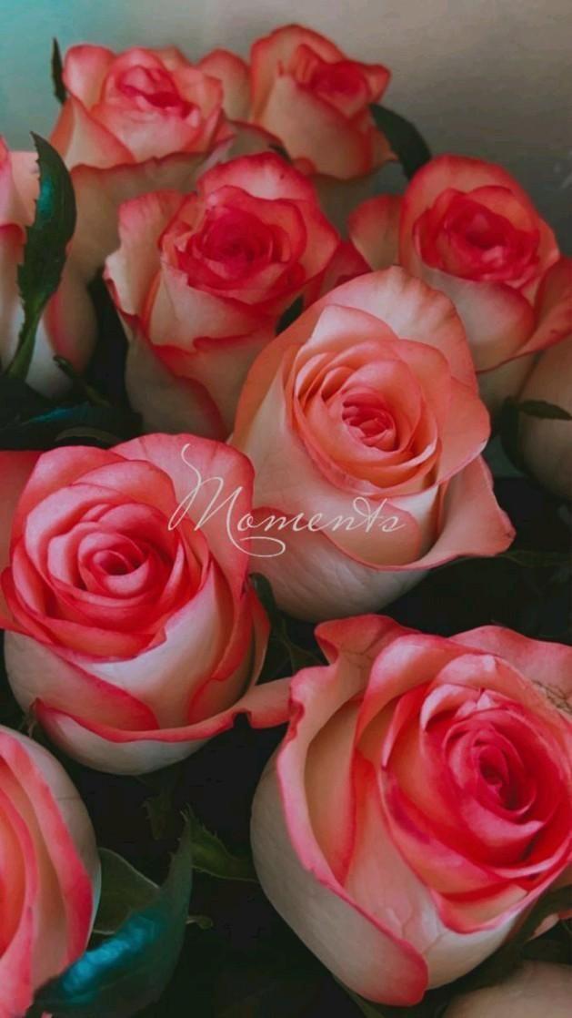 Celestial Waltz Symphony Bouquet