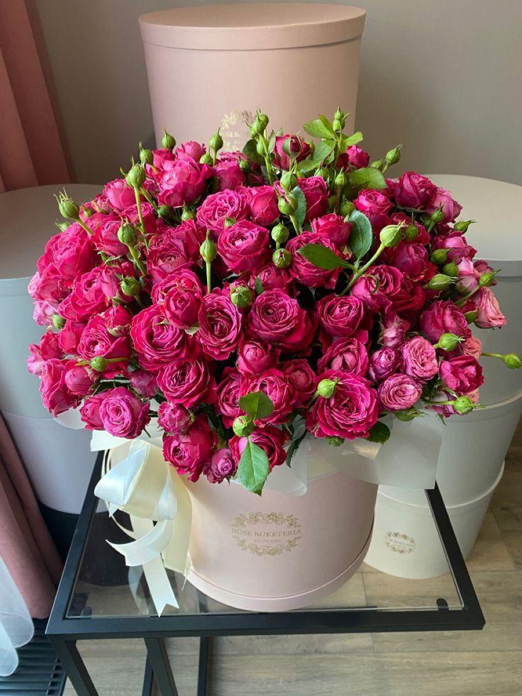 Whimsical Rhapsody Fairy Tale Blossoms